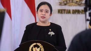Bertemu Jokowi di Istana, Puan Mengaku Bahas Pilpres 2024