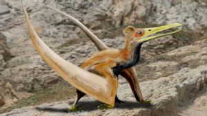 Peneliti Inggris Ungkap Pterosaurus yang Baru Menetas lebih Gesit dan Jago Manuver Dibanding Induknya