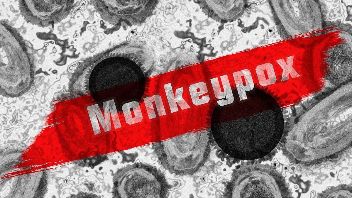 Number Of Cases Lowered And Delayed, WHO Believes Monkey Customs Can Be Lost In Europe