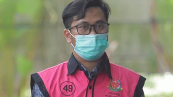 Kawan Pinangki Andi Irfan承认他不了解Joko Tjandra的行动计划和授权书