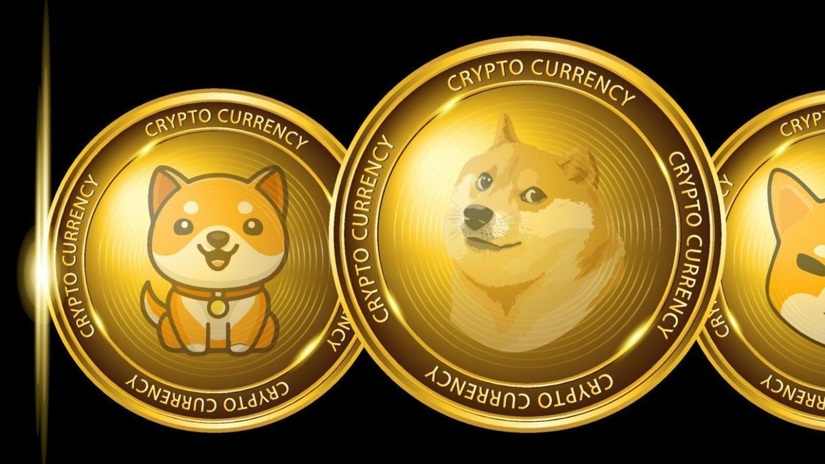 Monnaie de mème sur le thème du chien rival Solana dans la récupération de la cryptographie