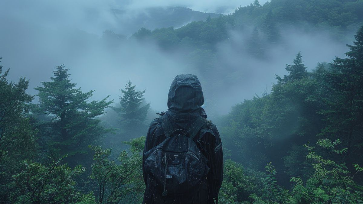 Apa yang Harus Dilakukan Jika Tersesat di Gunung? Begini Tips dari Pendaki Profesional