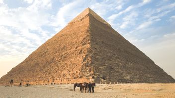 العثور على مومياء عمرها 4300 عام في مصر ، وتعتبر حالتها الأكثر 