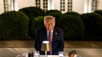 トランプ大統領、イランの野党レザ・パフラヴィ氏への支援を疑問視
