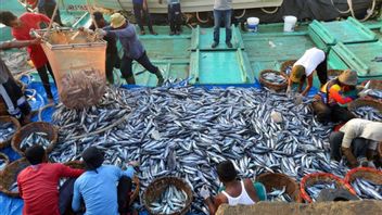 Angka Konsumsi Ikan hingga Oktober 2023 Capai 56,48 Kg per Kapita