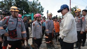 Momen Presiden Prabowo Sapa Petugas Pencari Korban Hilang di Tapsel: Masih Kuat?