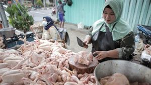Stok Daging Ayam di Babel 459,2 Ton dengan Harga Normal