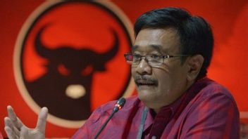 Comparing Ganjar And Gibran, PDIP Chairman Djarot: He Was Persecuted By Another Party But Said No
