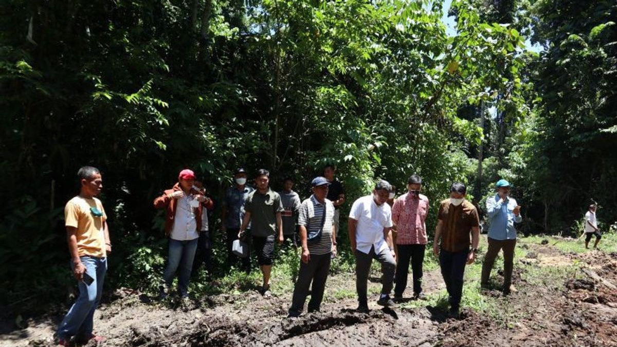 Central Sulawesi Provincial Government Immediately Issues Regulations For IKN Supporting Food Areas