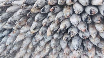 ランプン米国への漁業輸出額は1兆1,300億ルピアに達しました。