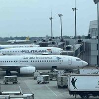 Kemenprekraf Harap Harga Tiket Pesawat Kembali Turun di Semester I 2025