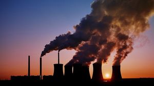 Pajak Karbon Disebut untuk Ubah Perilaku Masyarakat