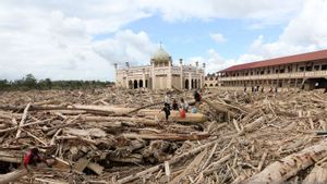 Boleh Dimanfaatkan, Kayu Hanyut Banjir di Aceh hingga Sumbar untuk Bangun Rumah Warga
