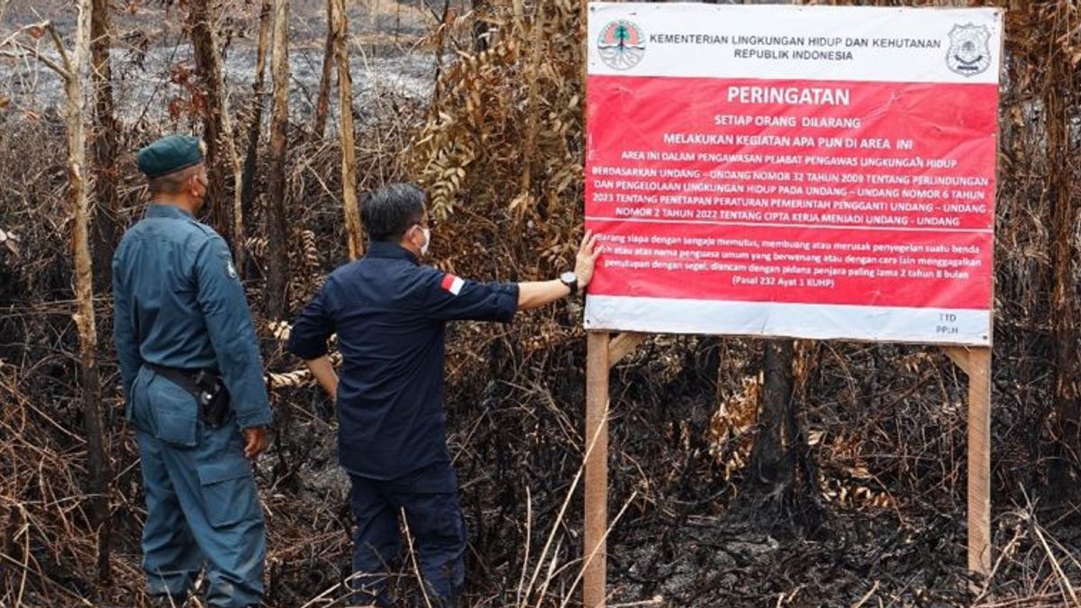环境和林业部在OKI南苏门答腊岛印有油棕种植园公司土地
