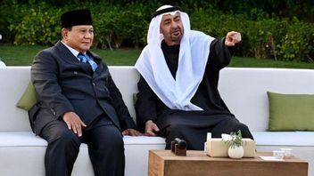 MBZ Emphasizes Commitment to Increase UAE Investment in Indonesia