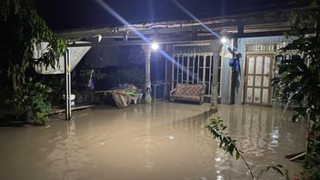 BNPB Catat Rentetan Bencana Sehari: Banjir hingga Karhutla Meluas di Riau