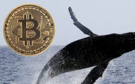 1.005 Bitcoin dari Tahun 2010 Aktif Lagi, Whale Ini Kirim BTC ke Alamat Baru