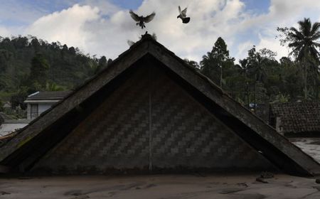 Pentingnya Peran Handy Takly dalam Proses Evakuasi di Gunung Semeru