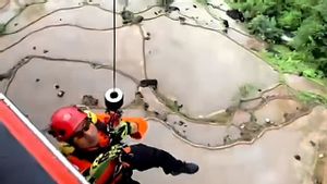 Tim SAR Berhasil Evakuasi Semua Korban Pesawat ATR 42-500
