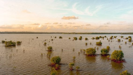 スーダンの鉄砲水で86人が死亡