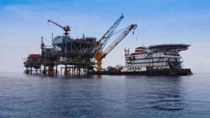   Pakar Apresiasi Kontribusi Pertamina Tembus Target Lifting Minyak 2025