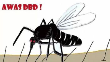 Demam Tinggi Tidak Turun-Turun bisa Jadi Bukan COVID-19 tapi Dengue