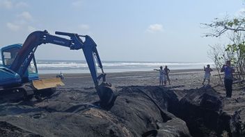 鲍博特鲸鱼1吨,距离巴厘岛班贾尔海滩发现的地点10米处埋葬