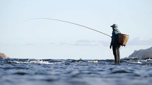 Umpan untuk Mancing di Laut yang dapat Anda Gunakan, Ini Daftarnya
