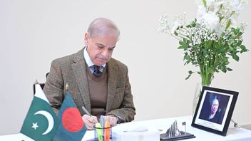 PM शहबाज शरीह-ईरान के पीएम ने मध्य पूर्व पर चर्चा की, पाकिस्तान ने शांति के लिए सुविधाकर्ता होने पर जोर दिया