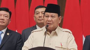 Prabowo Kunker Luar Negeri Kedua, Bakal Temui Presiden Mesir Dan PM Malaysia