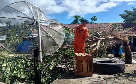 Puluhan Rumah di Aceh Besar Rusak Tertimpa Pohon Roboh Akibat Angin Kencang