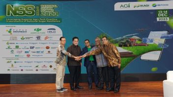 Teknologi Terbatas, Produksi Gula di Indonesia Terus Turun dalam 10 Tahun