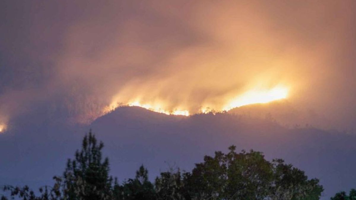 BNPB提议在爪哇建立森林和陆地火灾控制工作队