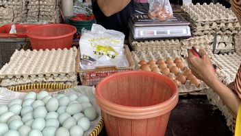 サウジアラビアはインドネシアの鳥類と卵の輸入を禁止、貿易省:ハラール問題ではない