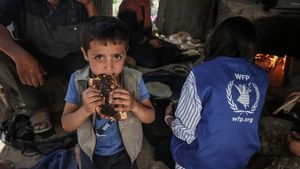29人の子供と高齢者がガザ地区の飢餓で死亡した