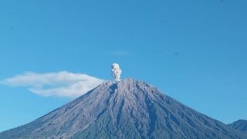 Rekomendasi Keselamatan Dikeluarkan Menyusul Erupsi Semeru dan Dukono Hari Ini
