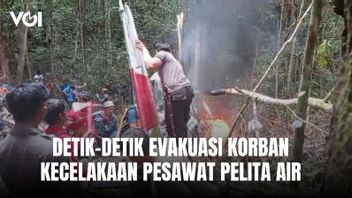 ペリタ・エアの飛行機が北カリマンタンのパ・レマヨ山脈に墜落