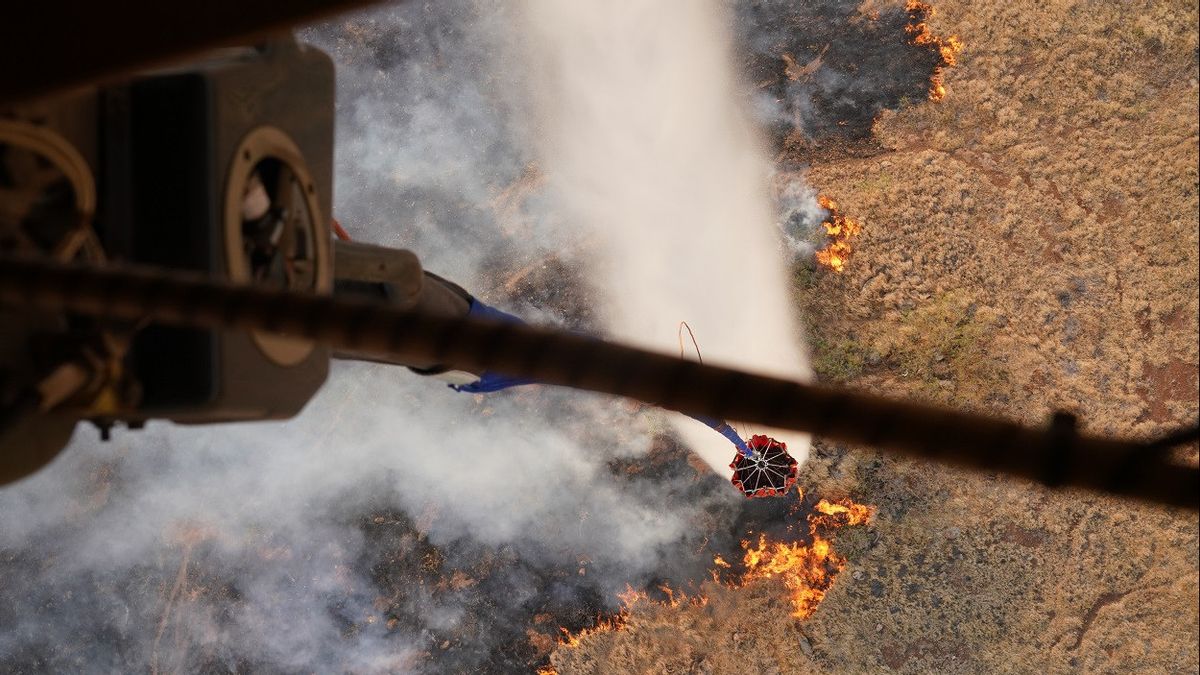 Korban Kebakaran Hutan di Maui Hawaii Bertambah Jadi 53 Orang