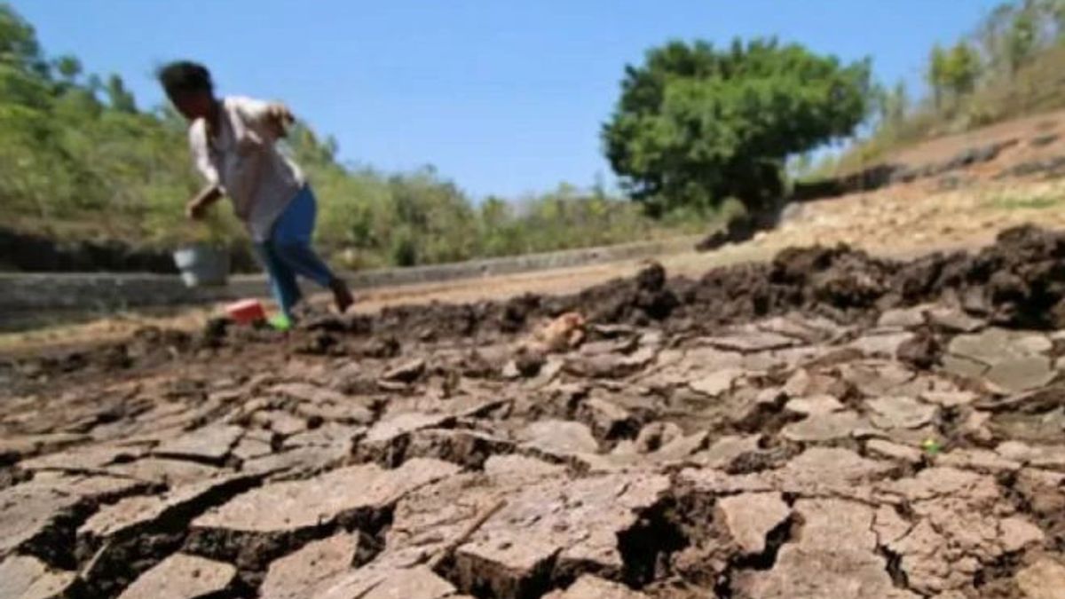 極端な干ばつに見舞われたこのメキシコの都市は 水へのアクセス