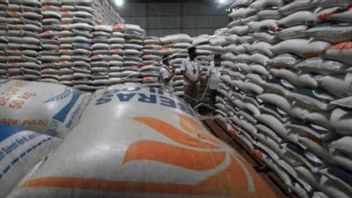 Yes, Jokowi Asks That There Is No More Fuss Over Rice Imports