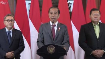 Jokowi: The OKI Summit Is Important To Stop Israeli Attacks On Palestine