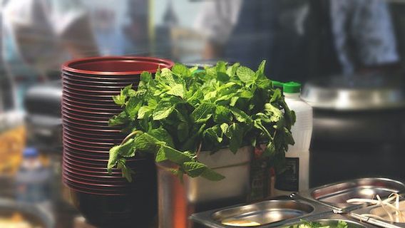 With Regard To Mint Leaves And Their Benefits For Body Health