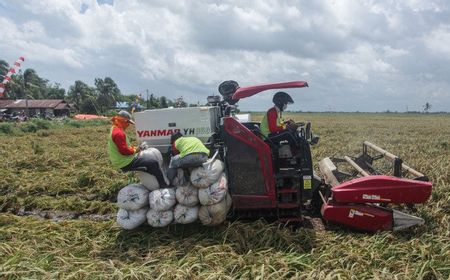 Mentan: Food Estate Bisa Ciptakan Lapangan Kerja