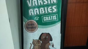 Pemkab Kudus Siapkan 200 Dosis Vaksin Rabies Gratis, Juga Sterilisasi 150 Kucing