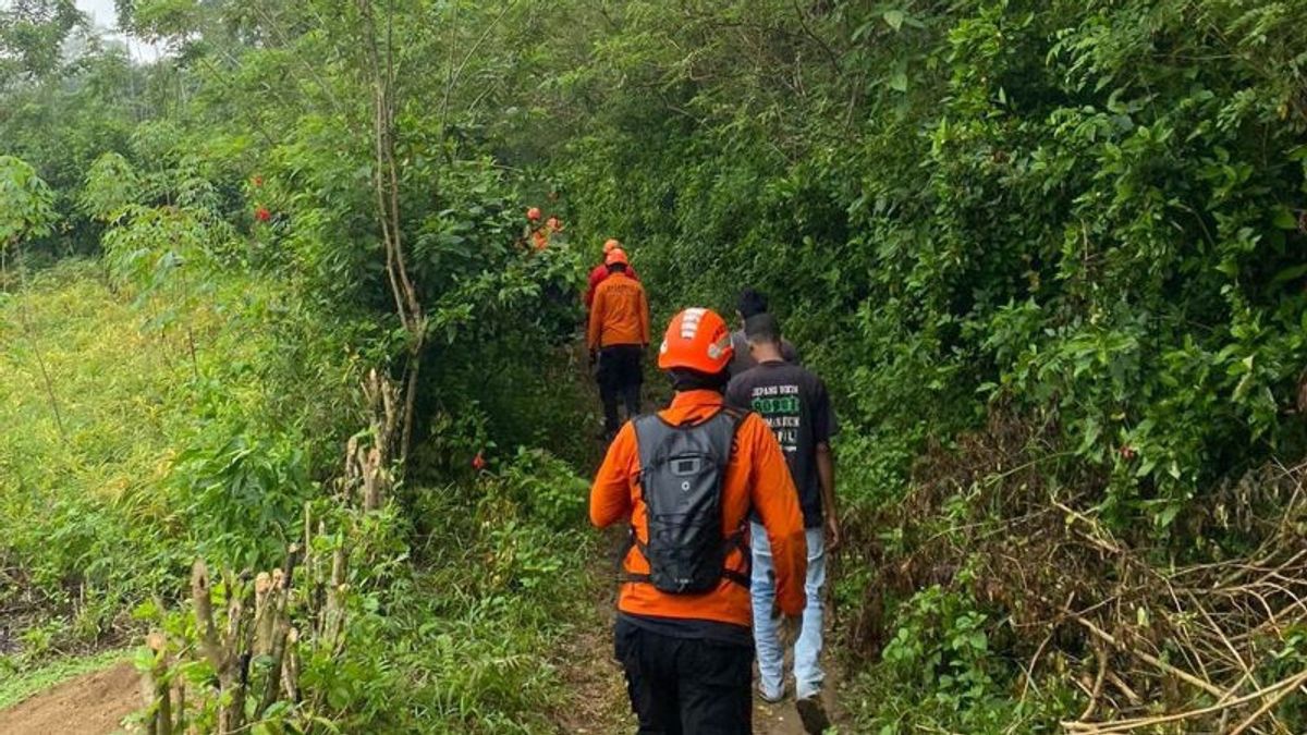 NTT锡卡失踪4天的老人仍被搜救队搜寻
