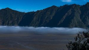 Tarif Foto di Gunung Bromo Rp250 ribu, Pengelola Sebut Harga Sesuai Aturan