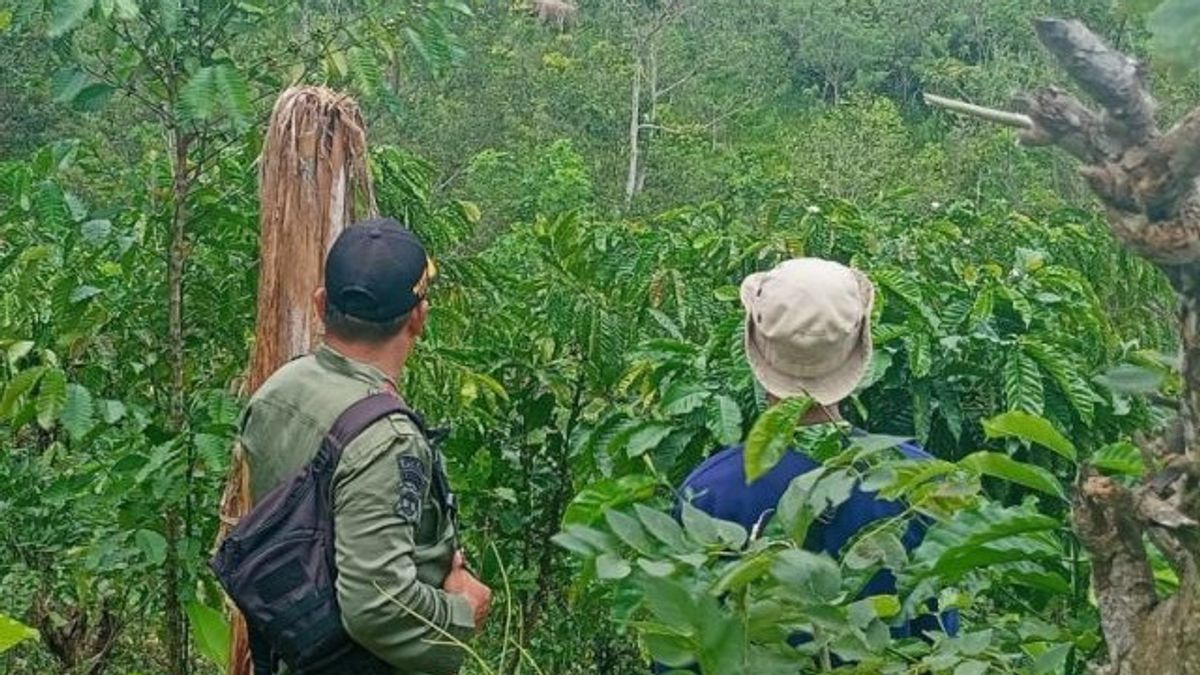 Illegal Elephant Conflict With Residents Not Also Done, Lampung Regency Government Asked For Assistance To Commission IV Of The Indonesian House Of Representatives (DPR RI)