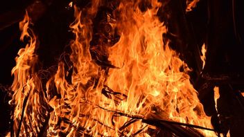 Ternyata Ledakan di Gudang Mako Brimob Palembang Berasal dari Kembang Api