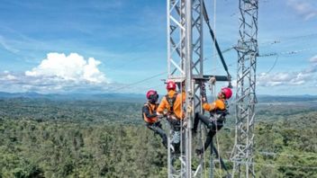 Dukung Pembangunan PLBN Napan, PLN NTT Salurkan Listrik 345 kVA