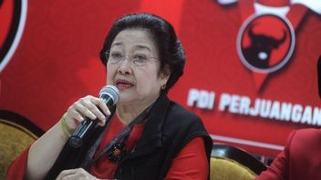 Megawati Soekarnoputri的另一面鲜为人知，事实证明，足球神才喜欢爬树